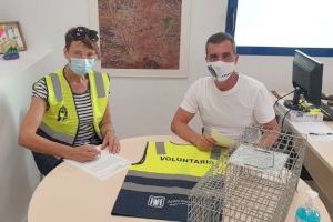 Sanidad y Bienestar animal refuerzan la campaña de esterilización de gatos callejeros en Altea