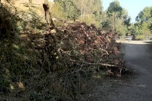 Vila-real plantea al consorcio del Mijares un contrato de refuerzo para mejorar el mantenimiento del paraje protegido