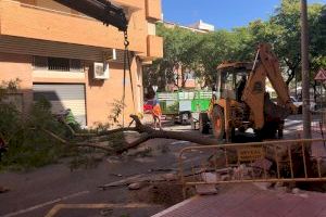 Comencen les obres de reurbanització i condicionament del carrer Pelayo