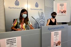 Un total de 29 clínicas veterinarias de Elche participan en la Campaña de Vacunación Antirrábica en perros, gatos y hurones 2020