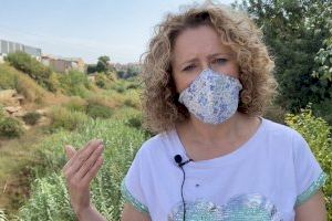 El PP de Torrent demana que es treballe en l'eliminació d'espècies invasores en els barrancs de Torrent - (foto 2) El PP de Torrent demana que es treballe en l'eliminació d'espècies invasores en els barrancs de Torrent - (foto 2)