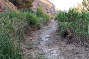 Petrer acondiciona la Rambla de Puça y de Caprala con diferentes mejoras en el entorno natural