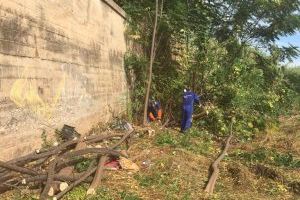 El Ayuntamiento inicia la limpieza del cauce del río Anna en el tramo urbano de Burriana