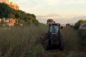 El Ayuntamiento inicia la limpieza del cauce del río Anna en el tramo urbano de Burriana - (foto 2) El Ayuntamiento inicia la limpieza del cauce del río Anna en el tramo urbano de Burriana - (foto 2)