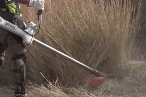 El Consell Local Agrari de Sagunto ejecuta y prepara labores de prevención contra inundaciones en la zona de Almardà