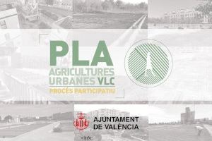 El Ayuntamiento impulsará un Plan de Agriculturas Urbanas para recuperar y preservar los vínculos con la huerta y potenciar el modelo agroecológico