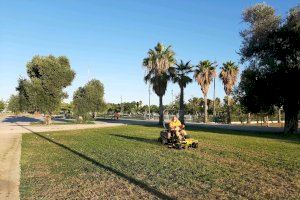 L’Ajuntament comença una intervenció integral per al manteniment de les zones enjardinades de Sociòpolis a la Torre