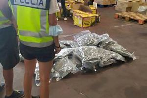 Cae una banda en Alicante que traficaba marihuana haciéndola pasar por especias asiáticas