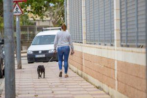 Cullera abre la inscripción en el censo de animales de compañía