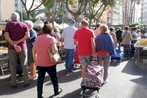 El PP solicita al equipo de gobierno que “habilite las medidas necesarias” para evitar que se repitan las escenas de falta de control en el mercado del Grao