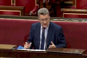 El PP urge tratamientos contra la plaga del cotonet y ayudas que compensen las pérdidas para la agricultura