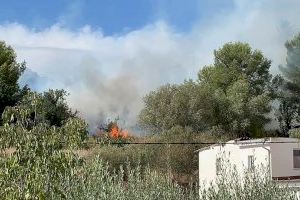 Declarat un incendi forestal a Oliva amb habitatges propers - (foto 5)