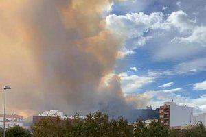 Declarat un incendi forestal a Oliva amb habitatges propers - (foto 2)