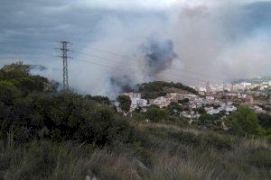 Declarat un incendi forestal a Oliva amb habitatges propers - (foto 3)
