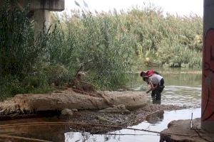 Gandia reclama a la CHX que assegure el cabal ecològic del Serpis - (foto 3) Gandia reclama a la CHX que assegure el cabal ecològic del Serpis - (foto 3)