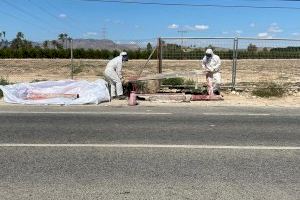 El Ayuntamiento retira de 2.500 kilos de amianto de vertidos en caminos del Camp d’Elx