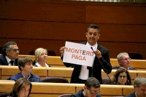 Carles Mulet asume la portavocía del Grupo de la Izquierda Confederal en el Senado