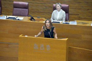 Les Corts aprueban la propuesta del PSPV-PSOE de regular la figura profesional del acompañante de mujeres con discapacidad víctimas de violencia machista