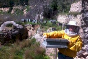 LA UNIÓ de Llauradors i Ramaders señala que la pandemia no puede ser la excusa para retroceder la mujer rural en derechos