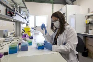 Juana María Delgado (UJI): "Necessitem eines per anticipar-nos als brots que seguiran apareixent" - (foto 3)