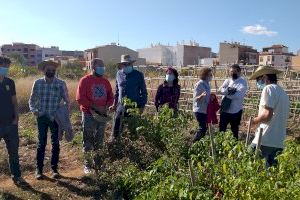 Diputació de Castelló dóna suport a la Setmana de la Sostenibilitat de Betxí - (foto 2) Diputació de Castelló dóna suport a la Setmana de la Sostenibilitat de Betxí - (foto 2)