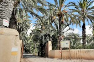 El Ayuntamiento recibe una ayuda del ministerio de Cultura de casi 42.000 euros para la conservación de la Ruta del Palmeral