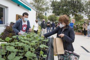 La UJI se convierte en embajadora regional del proyecto «Vigilantes del aire» de la Fundación Ibercivis
