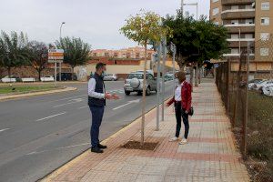 El Ayuntamiento de l’Alcora planta nuevos árboles y retira tocones