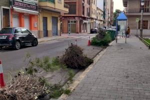 Foios protege la fauna local frente a las especies invasoras