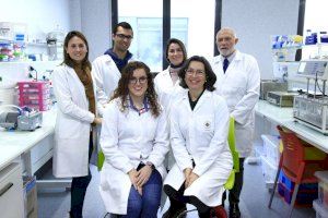 L’almussafenya María Sebastián participa en el disseny d'un inserit ocular per a administrar antioxidants