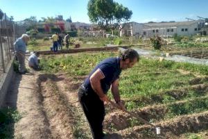 Casal de la Pau adapta su actividad para seguir atendiendo a personas con enfermedades graves mentales en tiempos de COVID-19