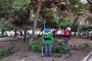 Vinaròs pondrá en marcha una nueva edición de la Escuela de Ocupación Et Formem