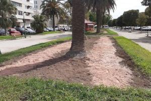 El Servicio de Jardinería Sostenible renueva los parterres del Paseo de la Alameda con rosales de mayor floración