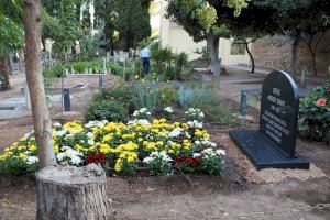 Un viaje a otra época sin salir de Valencia en el desconocido Cementerio Británico
