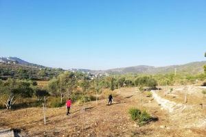 Set persones desocupades netejaran durant sis mesos els camins i zones verdes del Poble Nou de Benitatxell