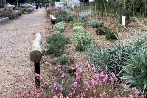 Almassora transforma un solar abandonado en el jardín Darremur Harmònic