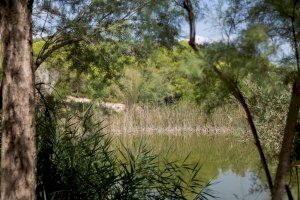 El pleno de Vilamarxant aprueba por unanimidad el Plan Local de Prevención de Incendios Forestales