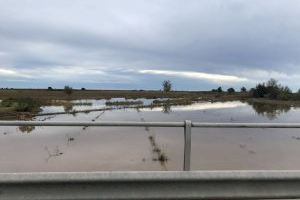 Mompó exigeix a Sánchez i Puig que «atenguen els afectats per les pluges» i que «no deixen una altra vegada sols als alcaldes» - (foto 3)