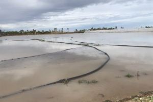 Mompó exigeix a Sánchez i Puig que «atenguen els afectats per les pluges» i que «no deixen una altra vegada sols als alcaldes» - (foto 8)
