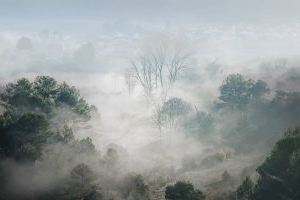 José Mengual, con una foto de Vall d’Ebo, gana el concurso fotográfico de naturaleza Alicante Renace 2020