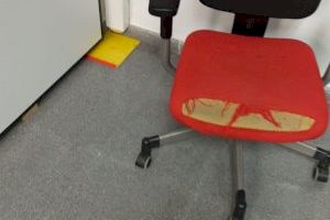 Las ratas y los ratones son uno más dentro de la cárcel de Villena