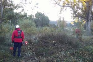 Les Coves de Vinromà realitza treballs de neteja en la zona del riu per a afavorir l'eixida d'aigües en cas de temporal