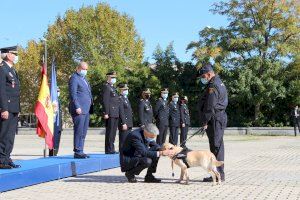 El ministro del Interior preside el acto de condecoración a seis canes de la Unidad de Guías Caninos de la Policía Nacional El ministro del Interior preside el acto de condecoración a seis canes de la Unidad de Guías Caninos de la Policía Nacional