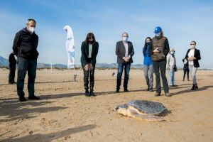 L’Oceanogràfic porta la campanya “La mar de tots” a Gandia