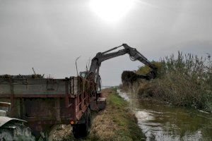 València anuncia un contracte urgent per a retirar residus en l'Albufera - (foto 2)