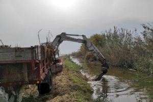 València anuncia un contracte urgent per a retirar residus en l'Albufera - (foto 3)