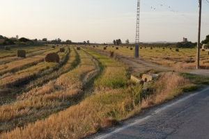València anuncia un contracte urgent per a retirar residus en l'Albufera