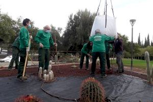 Alaquàs realiza trabajos de mejora del ajardinamiento en varias zonas del municipio