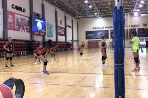 Victorias de los equipos infantiles del Voleibol La Nucía