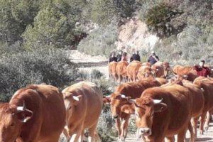 Agricultura adeuda 3,2 millones a los ganaderos valencianos